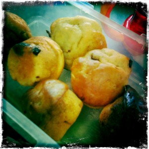 Muffins by @mamabook